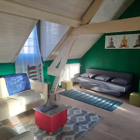 The Green Retromodern Duplex Apartment Antwerp